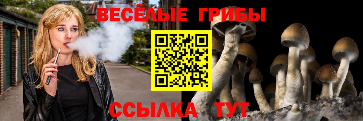 Шали  купить   Вход с VPN  Псилоцибиновые грибы Cubensis 